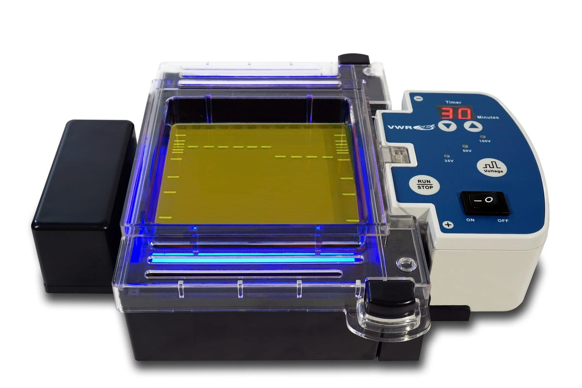 Real Time Electrophoresis Systems (700-1472)