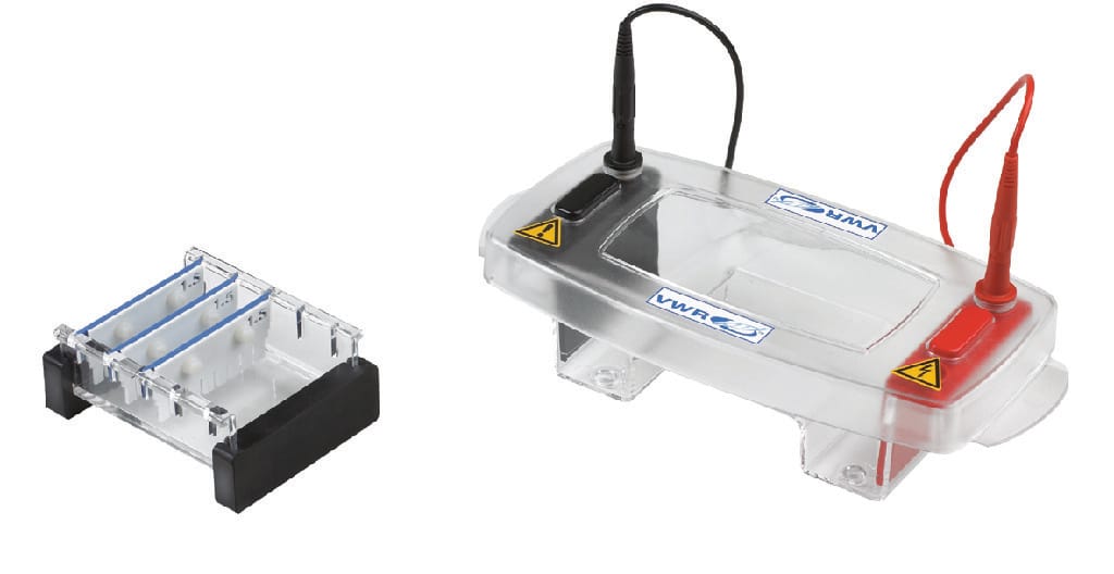 shiroGEL Horizontal Electrophoresis System (700-0250)