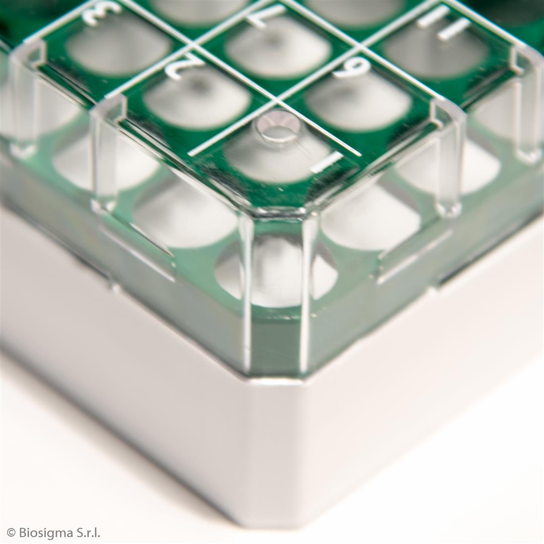 CryoGen® Polycarbonate Cryoboxes (BSM58025B/V)