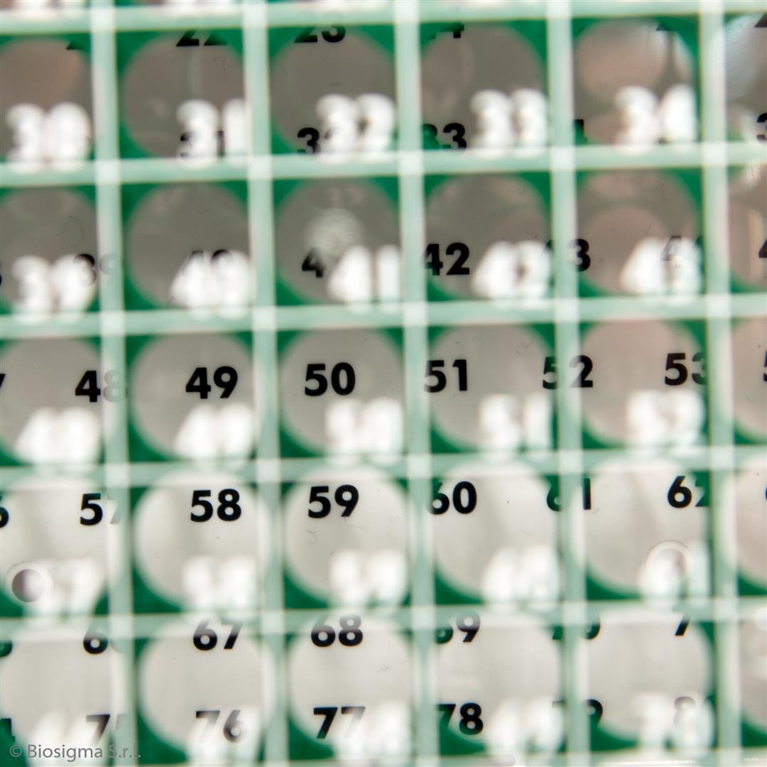 CryoGen® 1D Barcoded Polycarbonate Cryoboxes (BSM58025B1D/V)