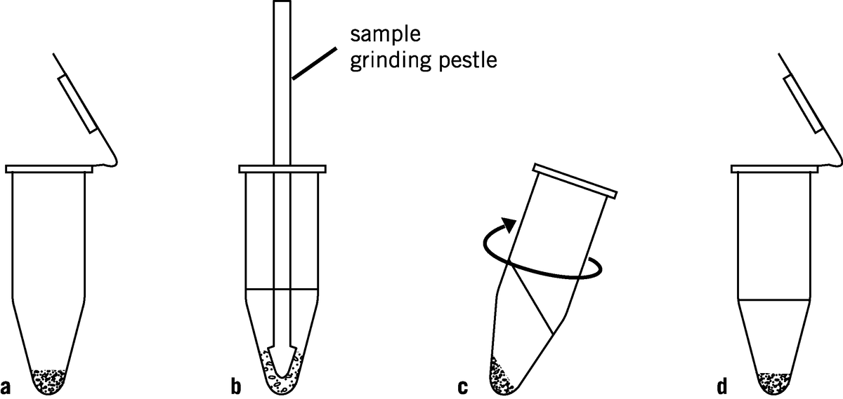 Sample Grinding Kit 80648337 - Protein analysis equipment and supplies - Cytiva