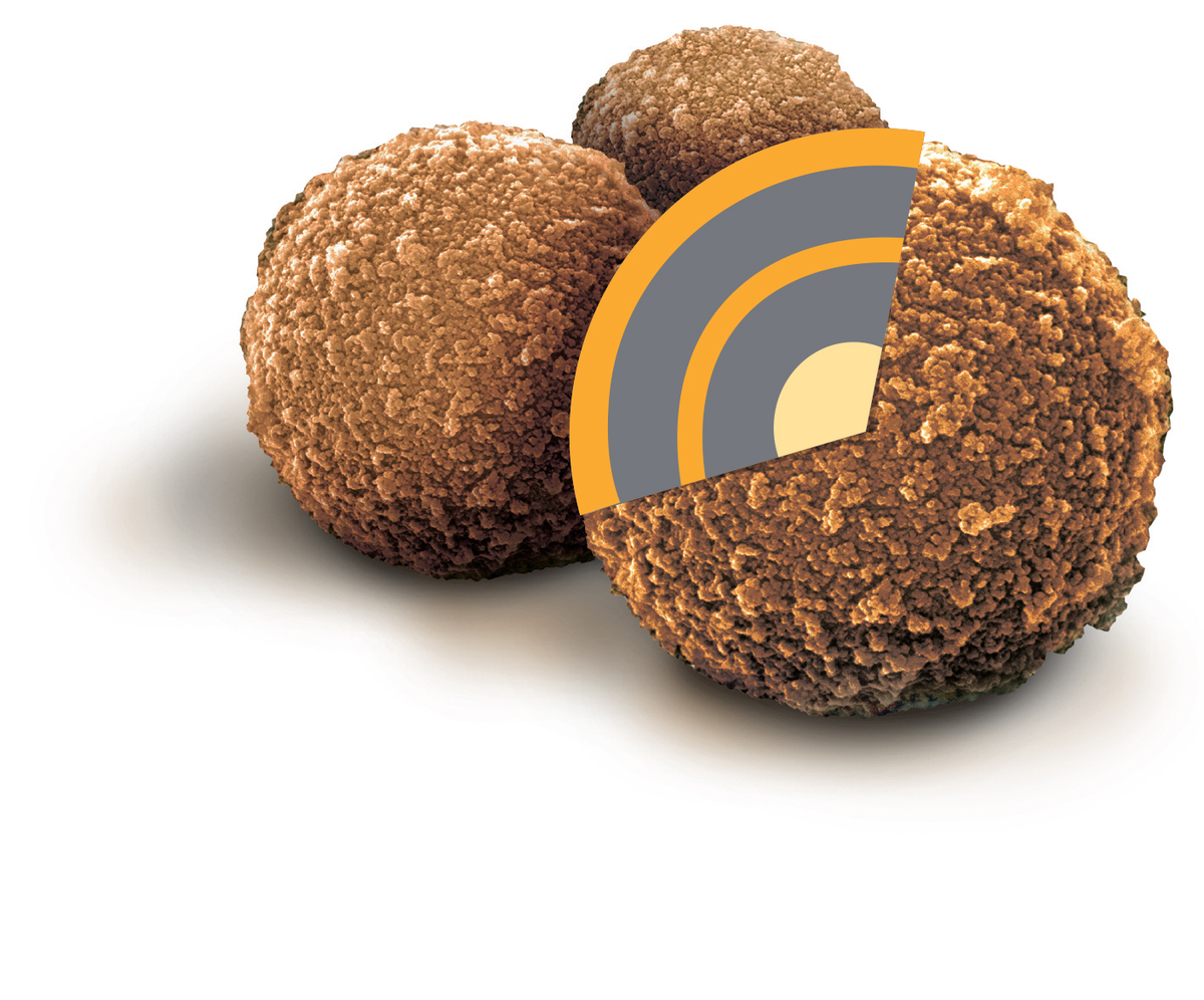 Sera-Mag™ Carboxylate-Modified Magnetic Beads & SpeedBeads 45152105050250 - Protein analysis equipment and supplies - Cytiva