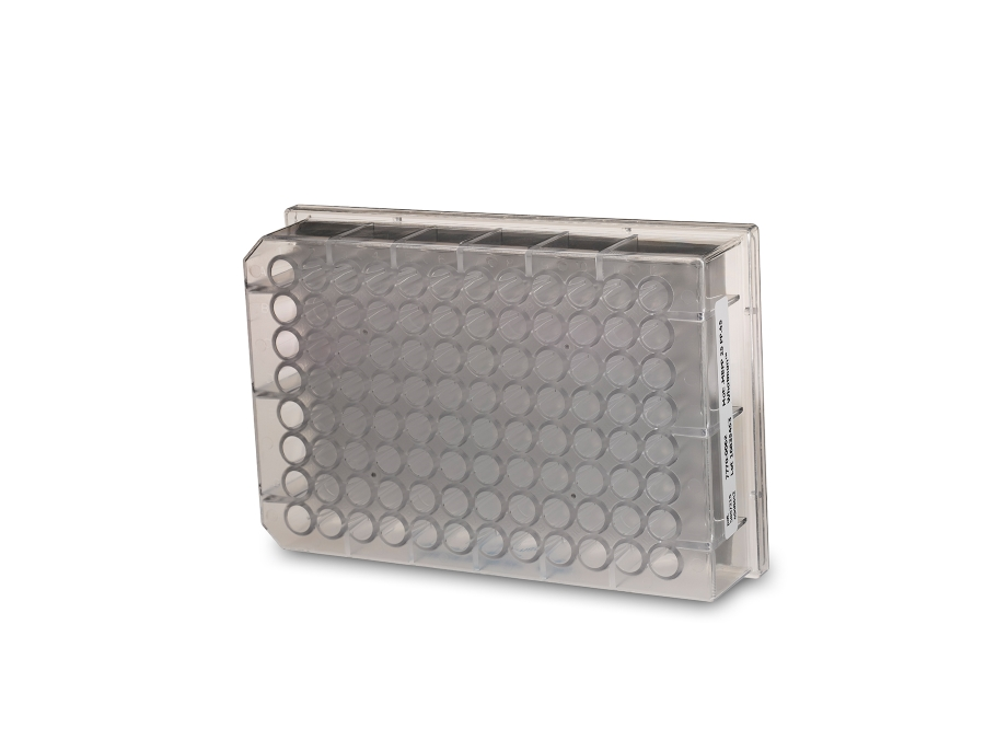 UNIFILTER 96-Well 800 µl Microplate 7770-0062 - Molecular and Immunodiagnostics - Cytiva