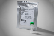Amersham CyDye NIR secondary antibodies 29360786 - Protein analysis equipment and supplies - Cytiva