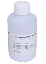 ANX Sepharose™ 4 Fast Flow (low sub) 17128601 - Chromatography products - Cytiva