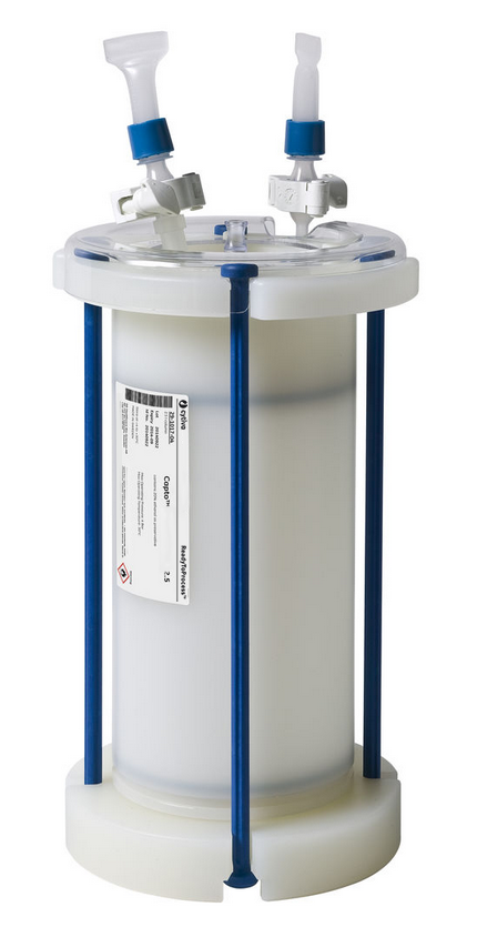 ReadyToProcess™ Capto Butyl 29011998 - Chromatography products - Cytiva