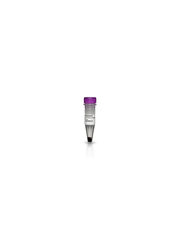 CyDye™ Value Packs (Mono-Reactive Maleimide) PA15136 - Protein analysis equipment and supplies - Cytiva