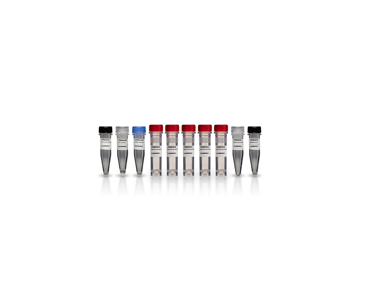 First-Strand cDNA Synthesis Kit 27926101 - Molecular and Immunodiagnostics - Cytiva