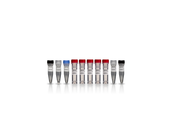 First-Strand cDNA Synthesis Kit 27926101 - Molecular and Immunodiagnostics - Cytiva