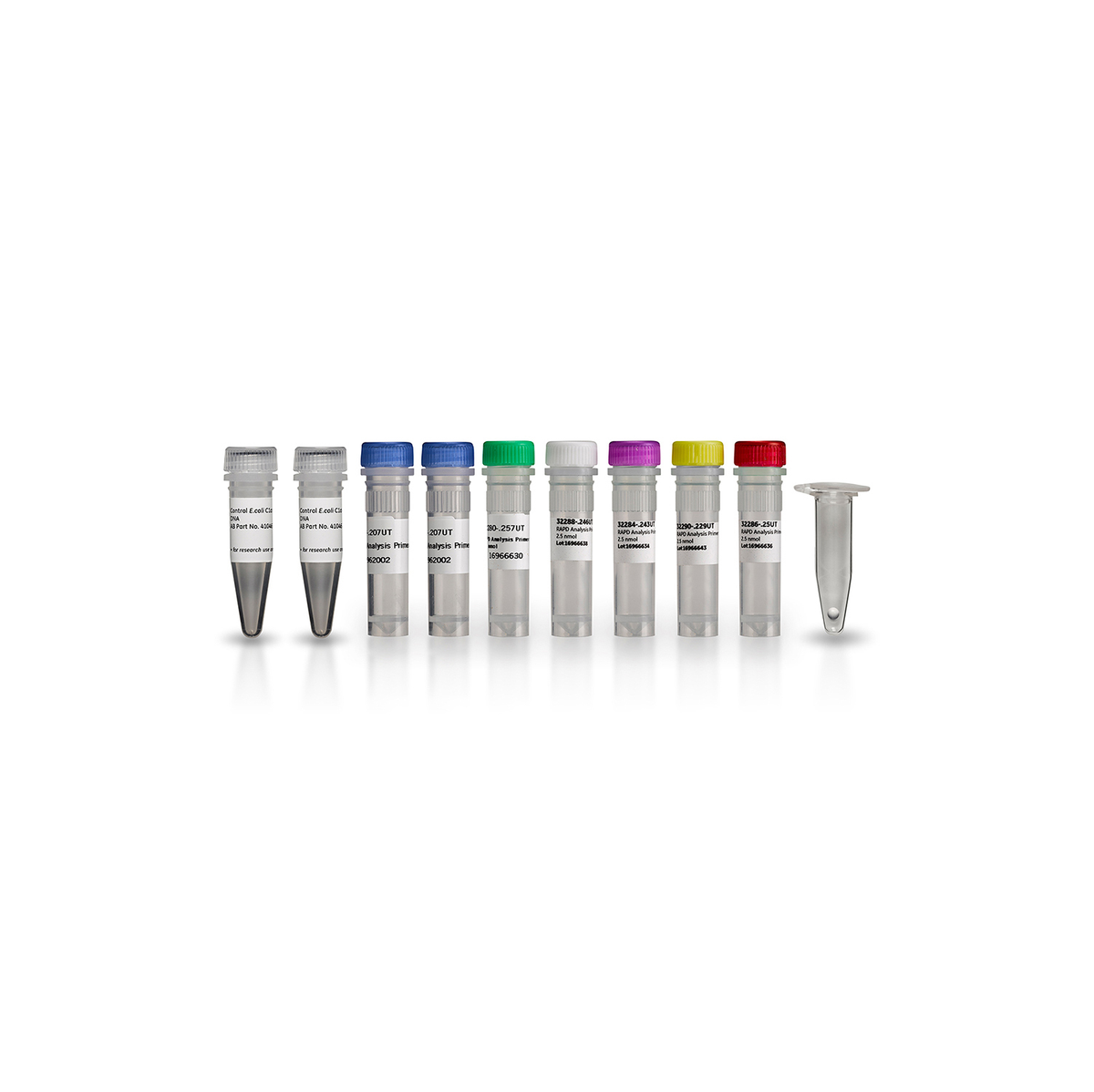Amersham™ Ready-To-Go RAPD Analysis Beads 27950201 - Molecular and Immunodiagnostics - Cytiva