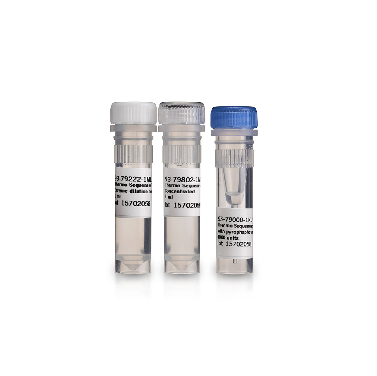 Thermo Sequenase™ DNA Polymerase E79000Z - Molecular and Immunodiagnostics - Cytiva