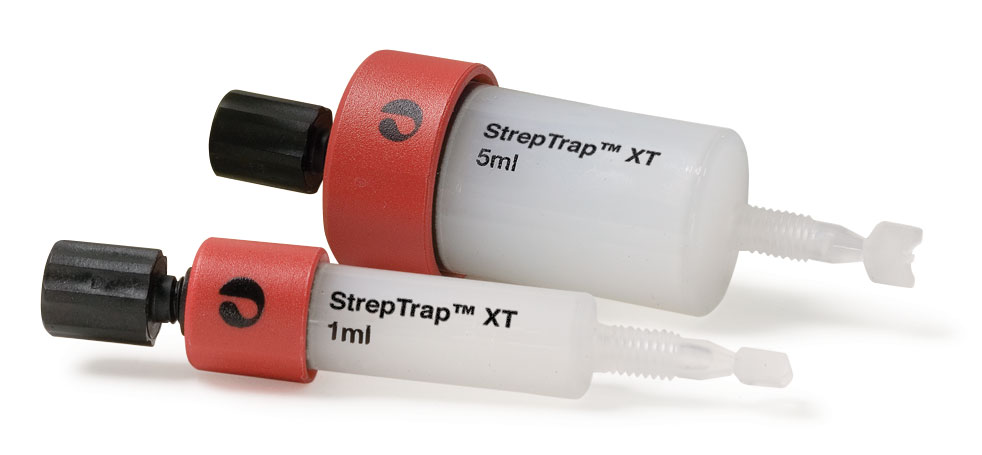 StrepTrap XT prepacked chromatography column 29401317 - Chromatography products - Cytiva