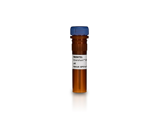 Amersham™ QuickStain Protein Labeling Kit RPN4000 - Protein analysis equipment and supplies - Cytiva