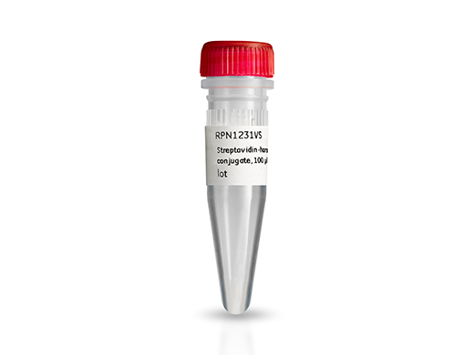 Streptavidin-Horseradish Peroxidase conjugates RPN1231-100UL - Protein analysis equipment and supplies - Cytiva