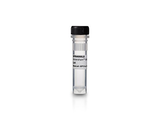 Amersham™ QuickStain Protein Labeling Kit RPN4000 - Protein analysis equipment and supplies - Cytiva