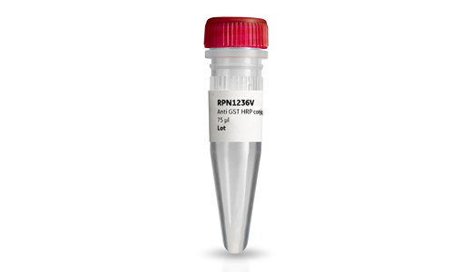 Anti-GST HRP Conjugate RPN1236 - Protein analysis equipment and supplies - Cytiva