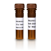 ECL DualVue™ Western blotting markers RPN810 - Uncategorized - Cytiva