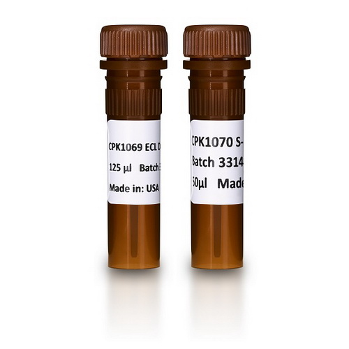 ECL DualVue™ Western blotting markers RPN810 - Uncategorized - Cytiva
