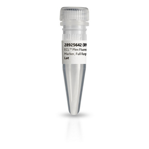 Amersham™ ECL Plex fluorescent rainbow molecular weight markers RPN850E - Protein analysis equipment and supplies - Cytiva