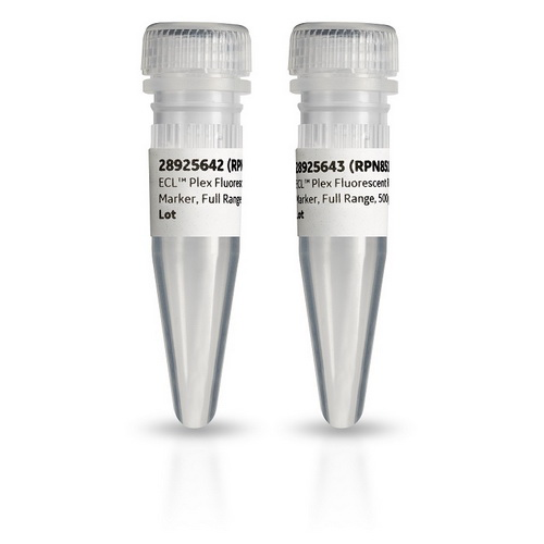 Amersham™ ECL Plex fluorescent rainbow molecular weight markers RPN850E - Protein analysis equipment and supplies - Cytiva