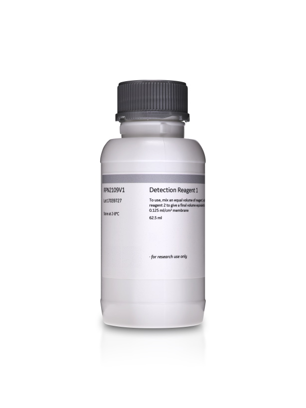 Amersham™ ECL Western Blotting Detection Kit RPN2108 - Protein analysis equipment and supplies - Cytiva