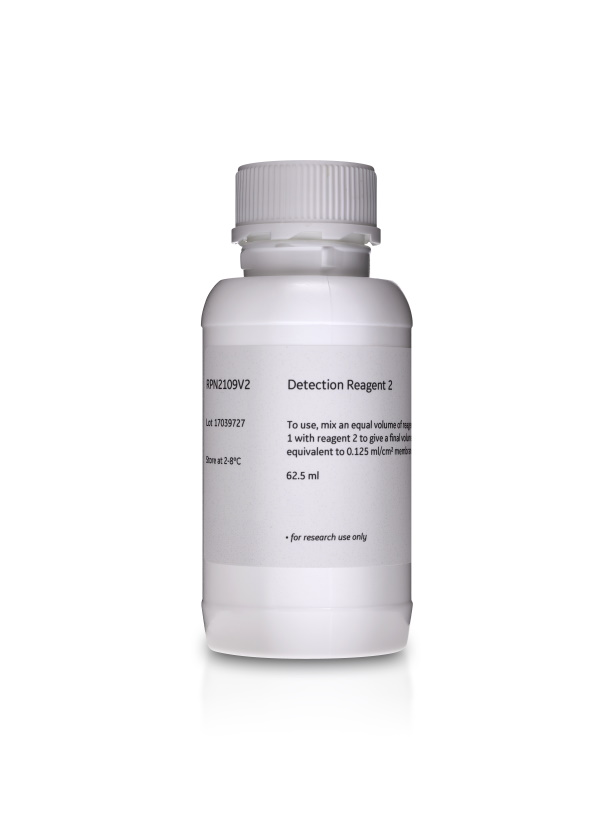Amersham™ ECL Western Blotting Detection Kit RPN2108 - Protein analysis equipment and supplies - Cytiva