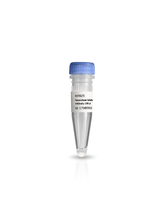Amersham™ ECL Western Blotting Detection Kit RPN2108 - Protein analysis equipment and supplies - Cytiva