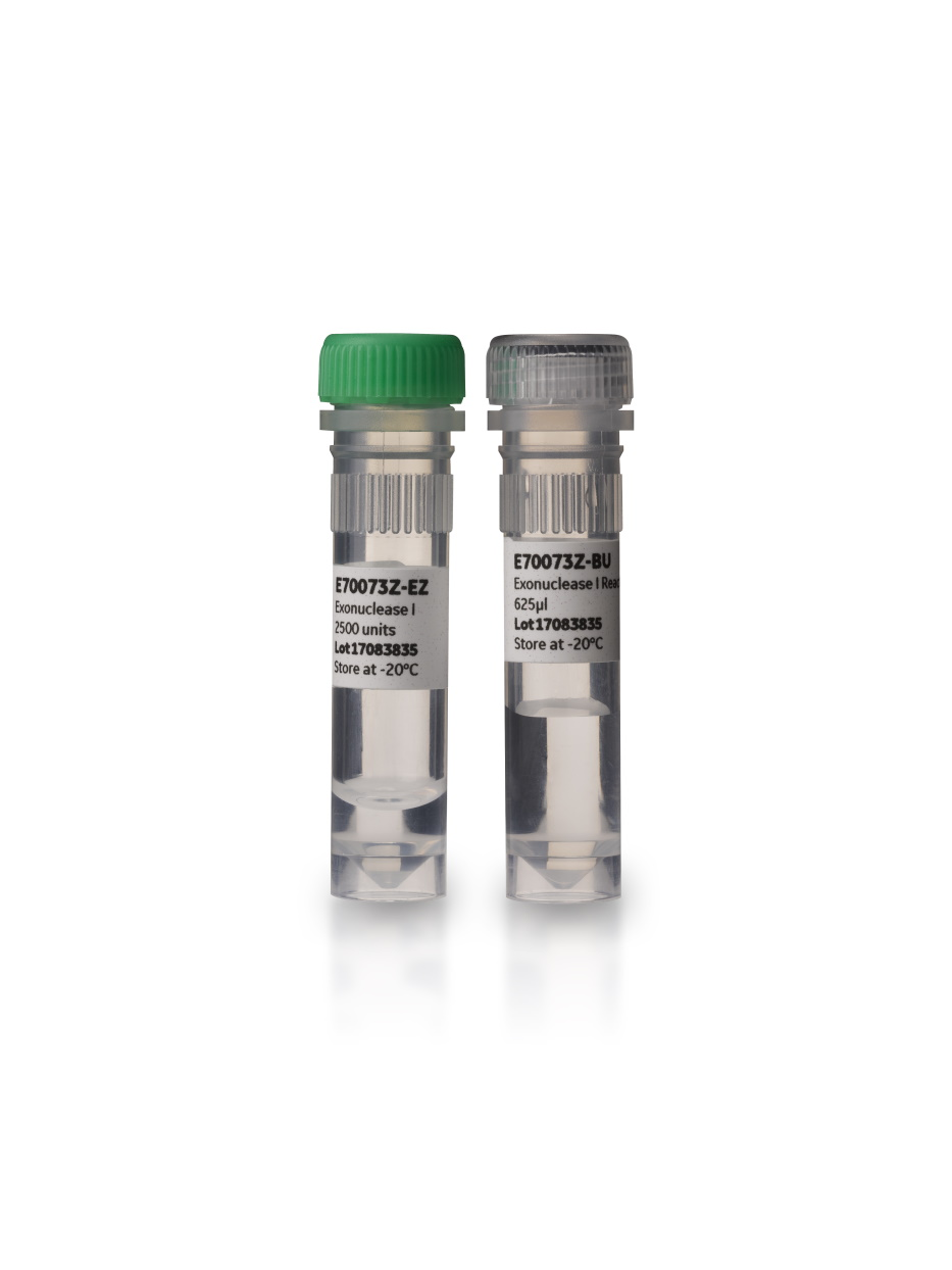 Exonuclease I E70073Z - Molecular and Immunodiagnostics - Cytiva
