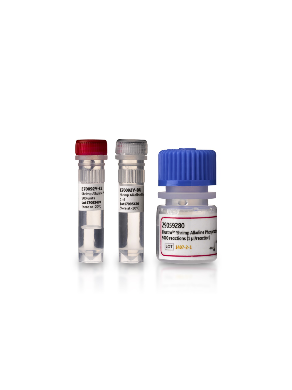 Amersham Shrimp Alkaline Phosphatase E70092Y - Molecular and Immunodiagnostics - Cytiva