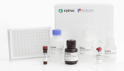Amersham™ HCPQuant™ CHO ELISA Kit and Amersham™ Anti-CHO HCP Antibody 29496740 - Protein analysis equipment and supplies