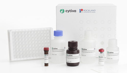 Amersham™ HCPQuant™ CHO ELISA Kit and Amersham™ Anti-CHO HCP Antibody 29496740 - Protein analysis equipment and supplies