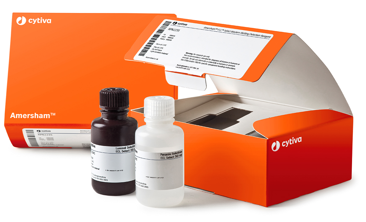 Amersham™ ECL Select™ Western Blotting Detection Reagent RPN2235 - Protein analysis equipment and supplies - Cytiva
