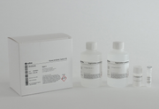 Mouse antibody capture kit, type 2 29215281 - Protein analysis equipment and supplies - Cytiva
