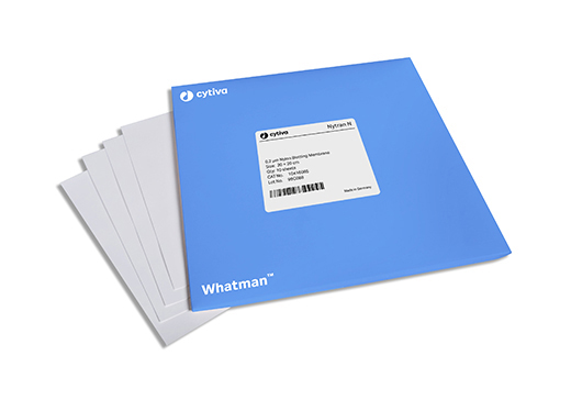 Nytran N Blotting Membranes 10416196 - Protein analysis equipment and supplies - Cytiva