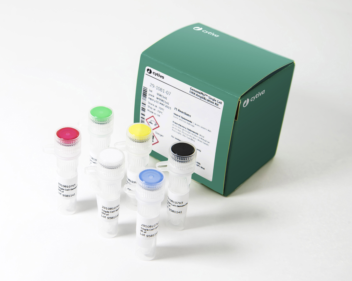 GenomiPhi Single Cell DNA Amplification Kit 29108107 - Molecular and Immunodiagnostics - Cytiva