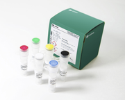 GenomiPhi Single Cell DNA Amplification Kit 29108107 - Molecular and Immunodiagnostics - Cytiva