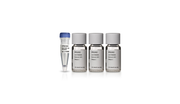 Anti-BrdU Antibody RPN202 - Protein analysis equipment and supplies - Cytiva
