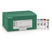 TempliPhi™ 100/500 Amplification Kits 25640010 - Molecular and Immunodiagnostics - Cytiva