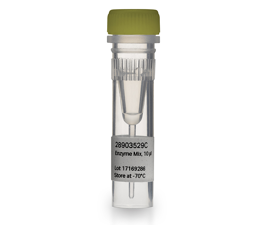 TempliPhi™ Sequence Resolver Kits 28903531 - Molecular and Immunodiagnostics - Cytiva