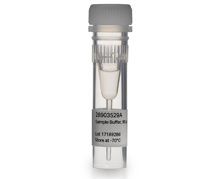 TempliPhi™ Sequence Resolver Kits 28903531 - Molecular and Immunodiagnostics - Cytiva