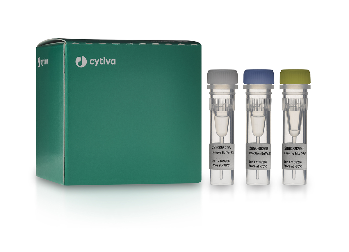 TempliPhi™ Sequence Resolver Kits 28903531 - Molecular and Immunodiagnostics - Cytiva