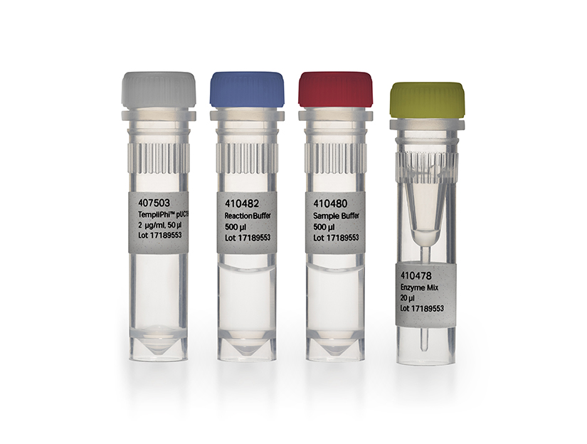 TempliPhi™ 100/500 Amplification Kits 25640010 - Molecular and Immunodiagnostics - Cytiva