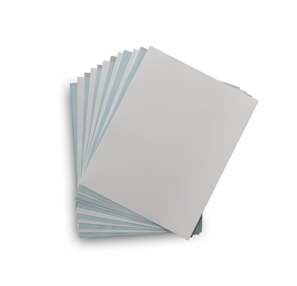 Nytran SuPerCharge (SPC) Blotting Membranes 10416294 - Protein analysis equipment and supplies - Cytiva