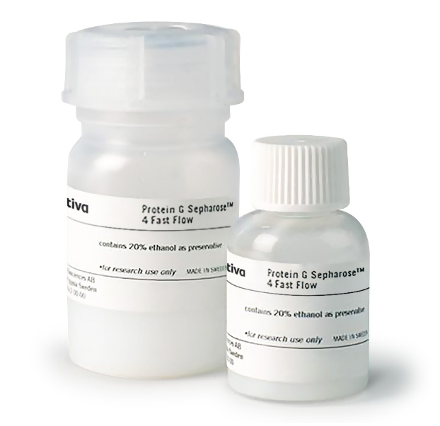 Protein G Sepharose™ 4 Fast Flow resin 17061805 - Chromatography products - Cytiva