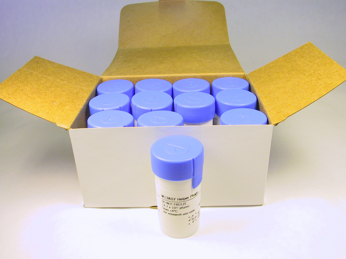 M13KO7 Helper Phage 27152401 - Uncategorized - Cytiva