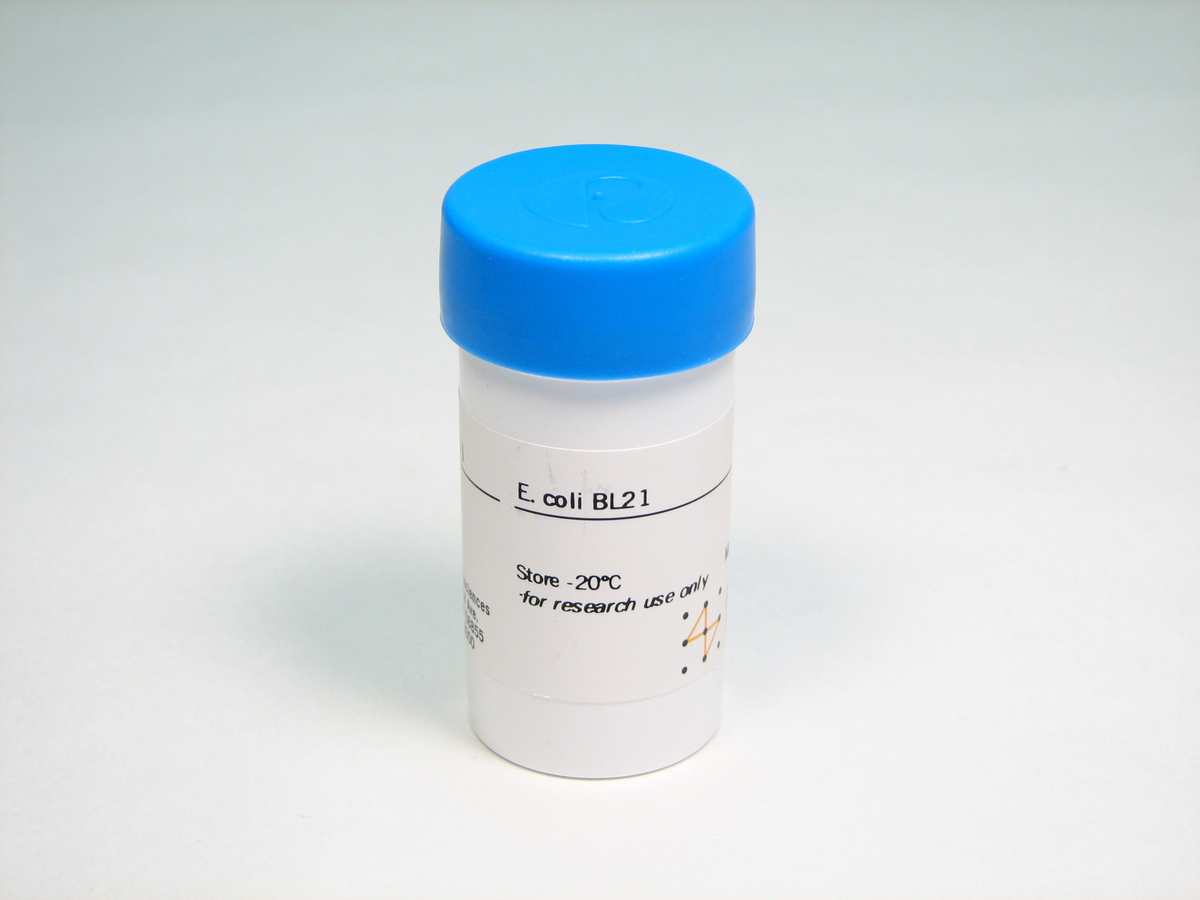 E. coli BL21 27154201 - General - Cytiva