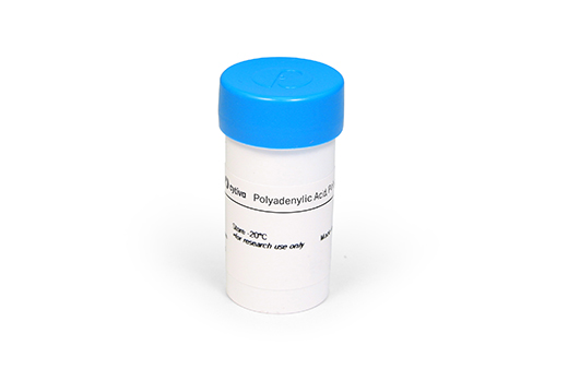 Poly(A) 27411002 - Molecular and Immunodiagnostics - Cytiva