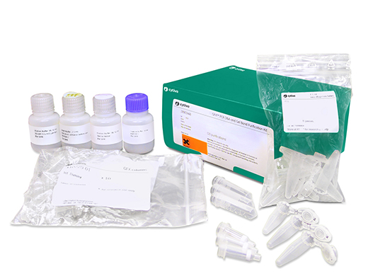 GFX PCR DNA and Gel Band Purification Kits 28903471 - Molecular and Immunodiagnostics - Cytiva