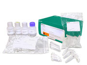 GFX PCR DNA and Gel Band Purification Kits 28903471 - Molecular and Immunodiagnostics - Cytiva