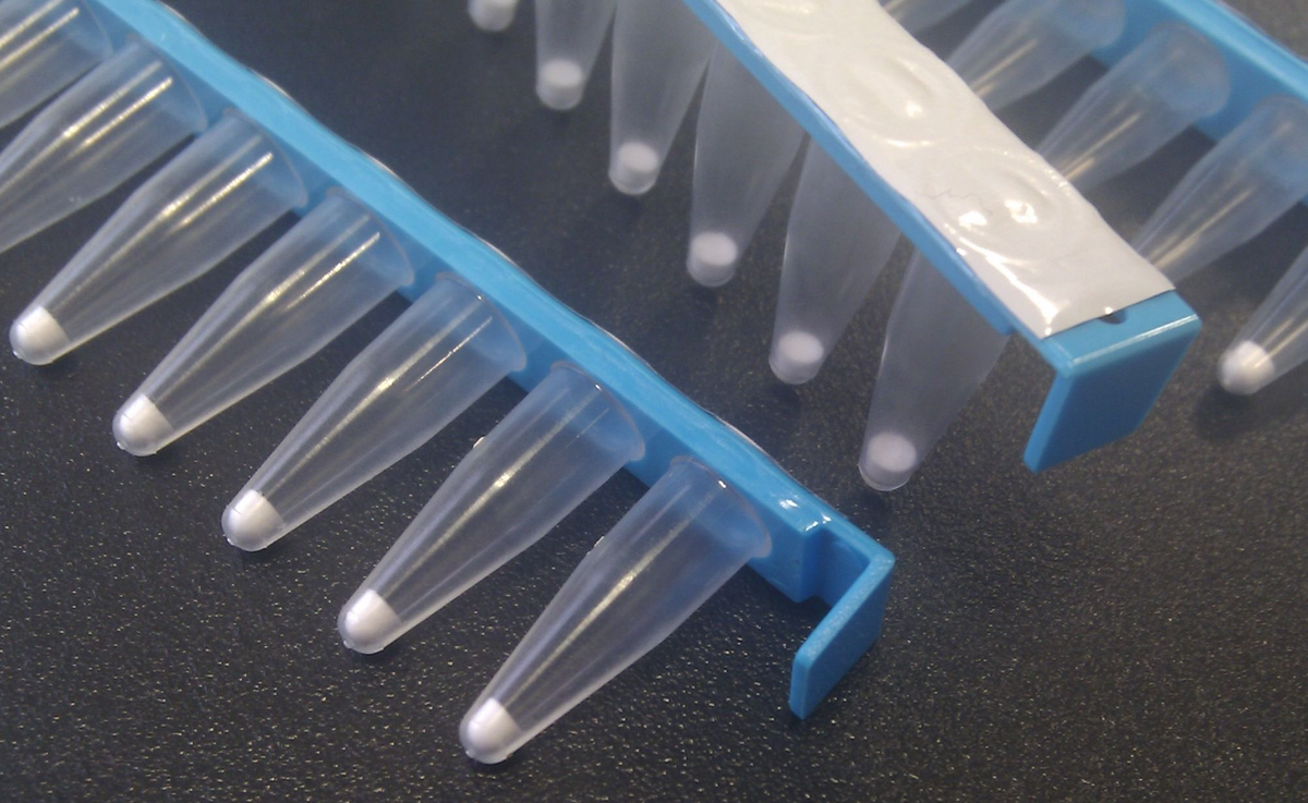 GenomiPhi V3 Ready-To-Go DNA Amplification Kit 25-6601-24 - Molecular and Immunodiagnostics - Cytiva